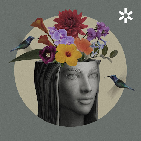 Image for Single - To Lose / Netra Music