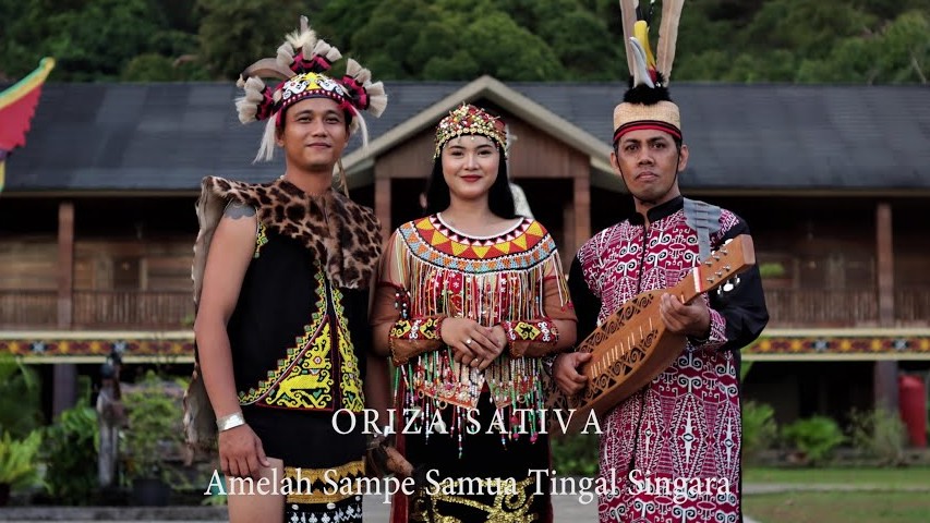 Image for Oriza Sativa